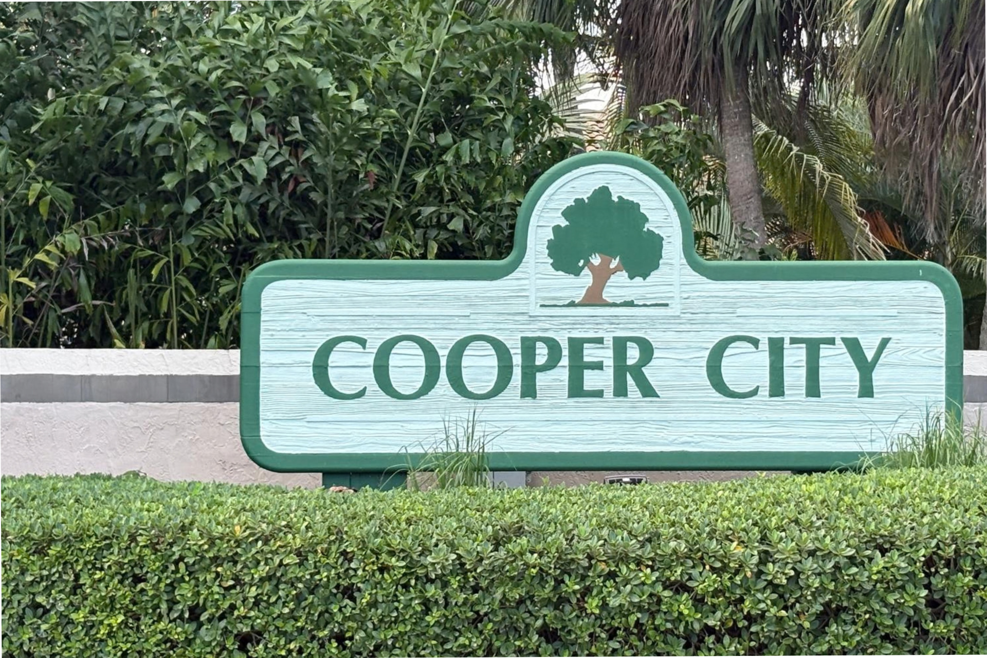 Cooper City luxury real estate in Florida